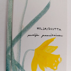 Maija Paavilainen : Hiljaisuutta - pikkukuva 1