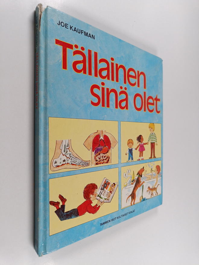 Joe Kaufman : Tällainen sinä olet