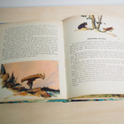 Walt Disney's NIKI Wild Dog of the North - kuvakirja 1961 - pikkukuva 3