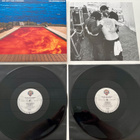 Red Hot Chili Peppers - Californication - pikkukuva 2