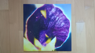 FIS : From Patterns To Details LP