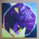 FIS : From Patterns To Details LP - pikkukuva 1