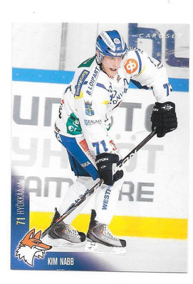 2010-11 CardSet #272 Kim Nabb Lukko