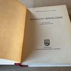 VULPIUS RINALDO RINALDINI ROSVOPÄÄLLIKKÖ HYVÄ - pikkukuva 2