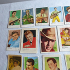 Keräilykuvia Tommy Steele, Ricky Nelson ja Pat Boone - pikkukuva 4