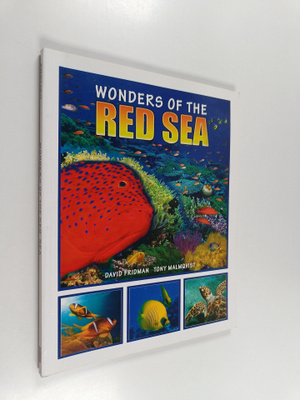 David Fridman : Wonders of the Red Sea