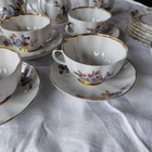 Lomonosov Golden Leafs teeastiasto 6 hengelle - pikkukuva 3