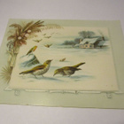 Linnut Talvimaisemassa 14x11cm n 1890 - pikkukuva 1
