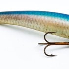 Kalannahkavaappu, Jukka Tainio, 9.5cm, 6.4g - pikkukuva 2