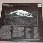 Appaloosa - Appaloosa LP 1969 - pikkukuva 2