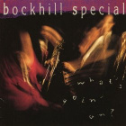 THE SULTANS/ HOUSEROCKERS/ BOCKHILL SPECIAL: 3 x cd - pikkukuva 3