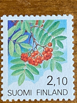 YLEISMERKKI PIHLAJA 1991**