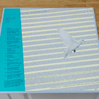 Ami Aspelund LP - pikkukuva 2