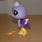 LITTLEST PET SHOP lila STRUTSI, LINTU #2099 + lapio - pikkukuva 2