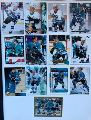 Jeff Friesen 13 erilaista