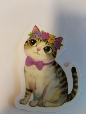 Kissa tarra.