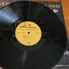 Neil Young:After the Gold Rush LP - pikkukuva 5