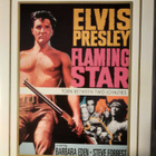 ELVIS PRESLEY FLAMING STAR DVD - pikkukuva 1