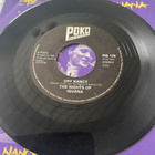 THE NIGHTS OF IGUANA: Dry Nancy * Sally Flesh * FIN 1986 - pikkukuva 2