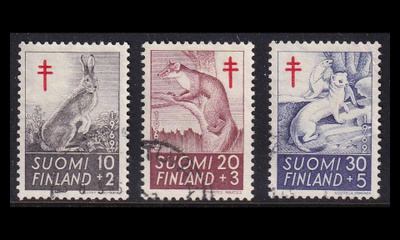 551-3 o Tuberkuloosi metsän eläimiä (1962)