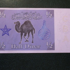 ANTNAPOLISTAN 0,5 DINAR 2005 P-1 UNC  (K15-S60) - pikkukuva 2