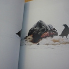 Ruskeakarhu - Erik S. Nyholm & Eero Kemilä 1.p.1990 - pikkukuva 3