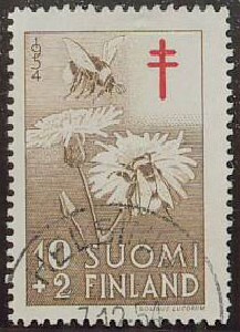 1954 tub 10 er.kaunis Hki-54