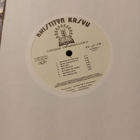 LP Luis Diaz : Vapauden laulu ( SIS POSTIKULU ) - pikkukuva 3