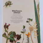 Roger Phillips : Wild flowers of Britain - pikkukuva 2