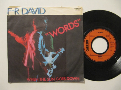F-R David Words 7" sinkku