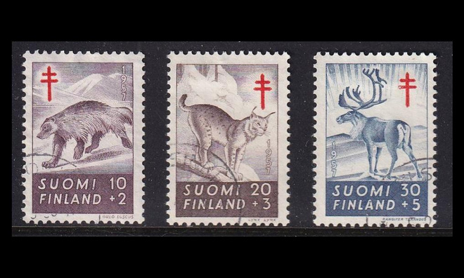 479-81 o Tuberkuloosi metsän eläimiä (1957)