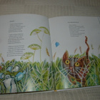 Korolainen - Talvitie Kissa kissa kissa - pikkukuva 3