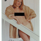 2003 Playboy Playmate of the Year #13 Allison Parks - pikkukuva 1