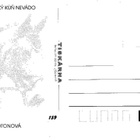 HEVONEN POSTIKORTTI - ANDALUSIALAINEN - pikkukuva 2