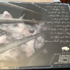 PEER GÜNT / No Piercing, No Tattoo cd. - pikkukuva 5