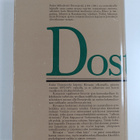 F. M. Dostojevski : Riivaajat 2 - pikkukuva 2