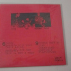Bikini Kill LP USA re Revolution Girl Style Now - pikkukuva 4