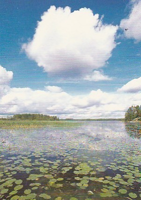 Postikortti, MAISEMA