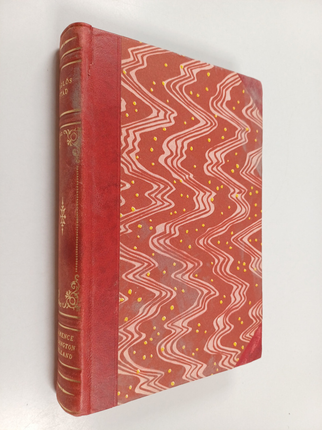 Clarence Budington Kelland : Laglös stad : roman