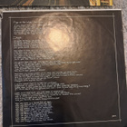 Pink Floyd – Animals LP - pikkukuva 4