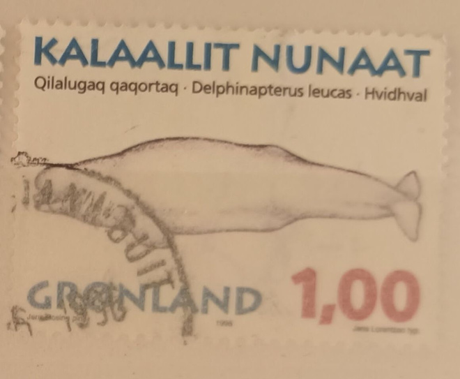 Grönlanti: valaita I, Mi 289, 1996 o