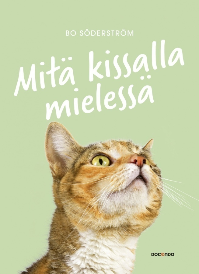 Bo Söderström: Mitä kissalla mielessä