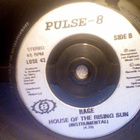 RAGE :: HOUSE OF THE RISING SUN :: VINYYLI 7" 1993 - pikkukuva 3