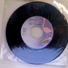 POKU TARKKONEN :: KESÄAAMU/ TULE TAKAISIN VINYYLI 7" (1991) - pikkukuva 1