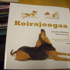 Jennifer Brilliant ym: KOIRAJOOGAA ( Sis.postikulut ) - pikkukuva 1