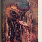George Catlin.Letters and Notes on the North American Indian - pikkukuva 2