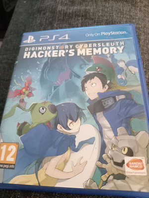 Hacker's memory