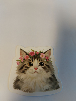 Kissa tarra.