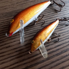 Rapala countdown 5 ja 7 - pikkukuva 4