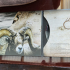Awolnation - Run CD - pikkukuva 3